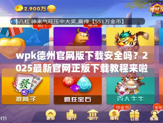 wpk德州官网版下载安全吗？2025最新官网正版下载教程来啦！