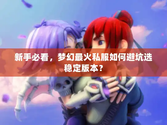 新手必看，梦幻最火私服如何避坑选稳定版本？