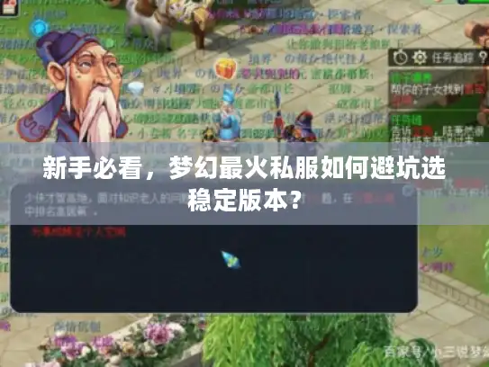 新手必看，梦幻最火私服如何避坑选稳定版本？