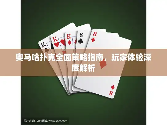 奥马哈扑克全面策略指南，玩家体验深度解析