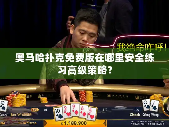 奥马哈扑克免费版在哪里安全练习高级策略? 奥马哈扑克免费版在哪里安全练习高级策略?