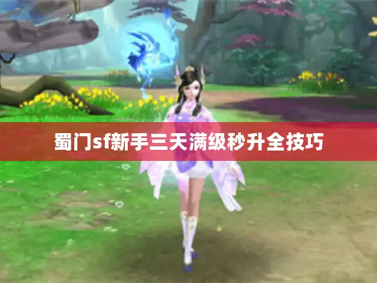 蜀门sf新手三天满级秒升全技巧 蜀门sf新手三天满级秒升全技巧