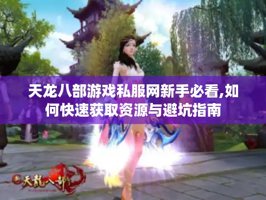 天龙八部游戏私服网新手必看,如何快速获取资源与避坑指南