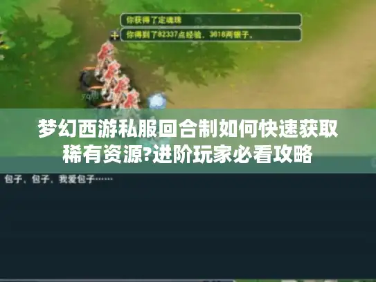 梦幻西游私服回合制如何快速获取稀有资源?进阶玩家必看攻略