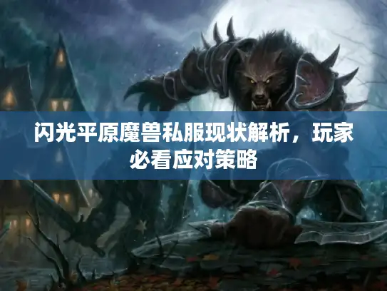 闪光平原魔兽私服现状解析，玩家必看应对策略