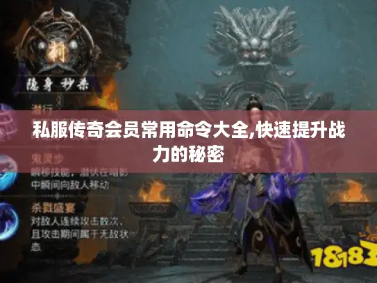 私服传奇会员常用命令大全,快速提升战力的秘密