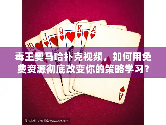 毒王奥马哈扑克视频，如何用免费资源彻底改变你的策略学习？