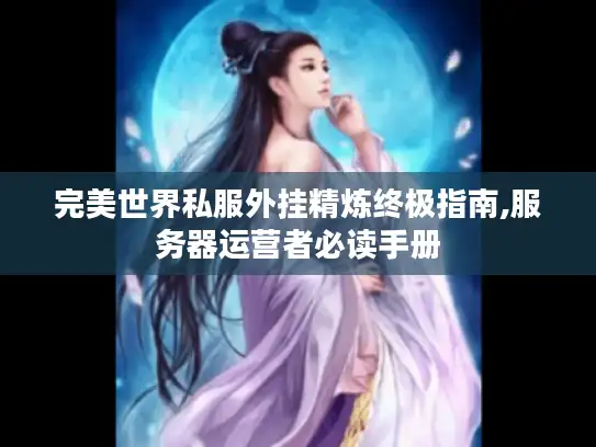 完美世界私服外挂精炼终极指南,服务器运营者必读手册