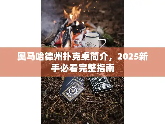 奥马哈德州扑克桌简介，2025新手必看完整指南
