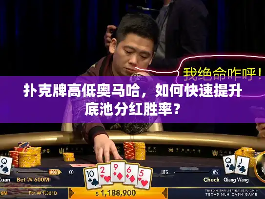 扑克牌高低奥马哈，如何快速提升底池分红胜率？