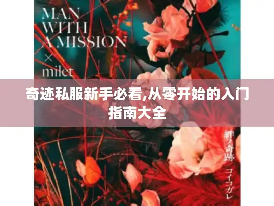 奇迹私服新手必看,从零开始的入门指南大全