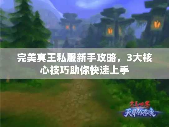 完美真王私服新手攻略，3大核心技巧助你快速上手
