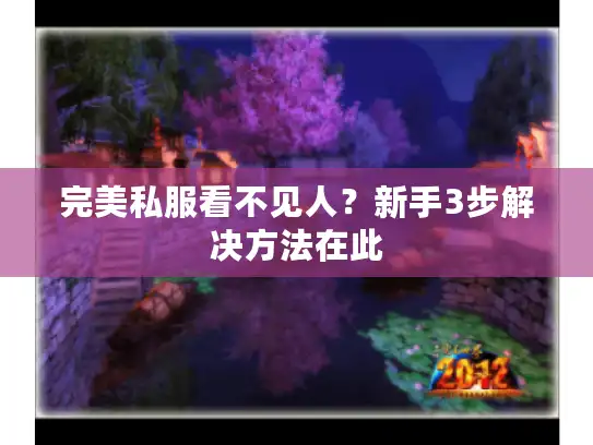 完美私服看不见人？新手3步解决方法在此