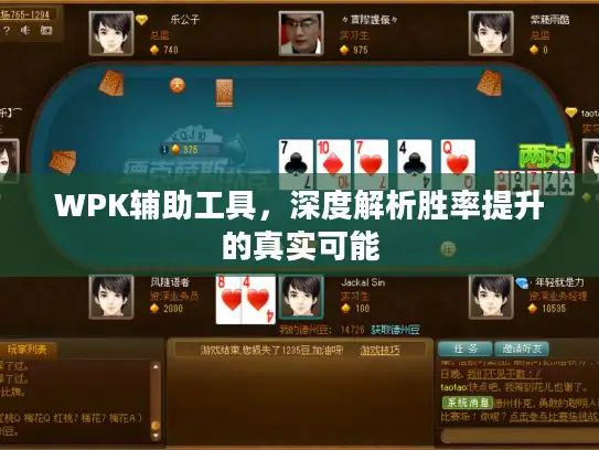 WPK辅助工具，深度解析胜率提升的真实可能