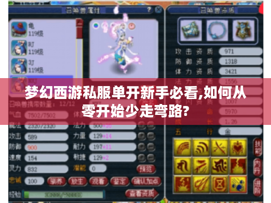 梦幻西游私服单开新手必看,如何从零开始少走弯路?