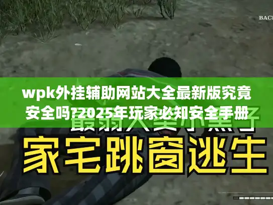 wpk外挂辅助网站大全最新版究竟安全吗?2025年玩家必知安全手册