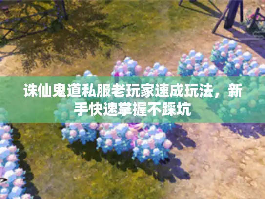 诛仙鬼道私服老玩家速成玩法，新手快速掌握不踩坑