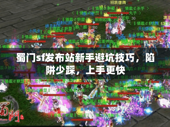 蜀门sf发布站新手避坑技巧,陷阱少踩,上手更快 蜀门sf发布站新手避坑技巧,陷阱少踩,上手更快