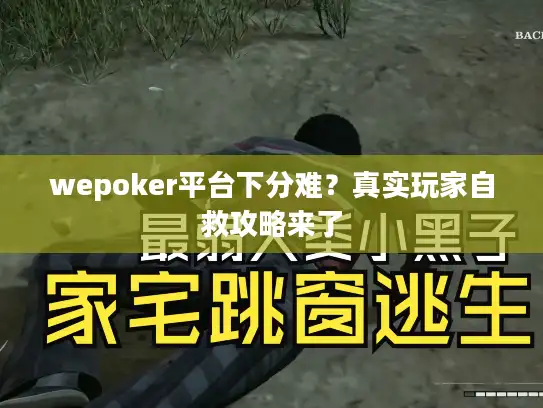 wepoker平台下分难？真实玩家自救攻略来了