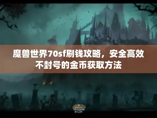魔兽世界70sf刷钱攻略，安全高效不封号的金币获取方法
