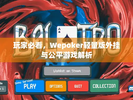 玩家必看，Wepoker轻量版外挂与公平游戏解析