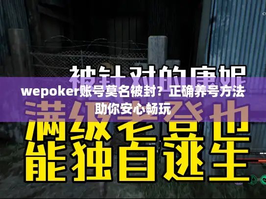 wepoker账号莫名被封？正确养号方法助你安心畅玩