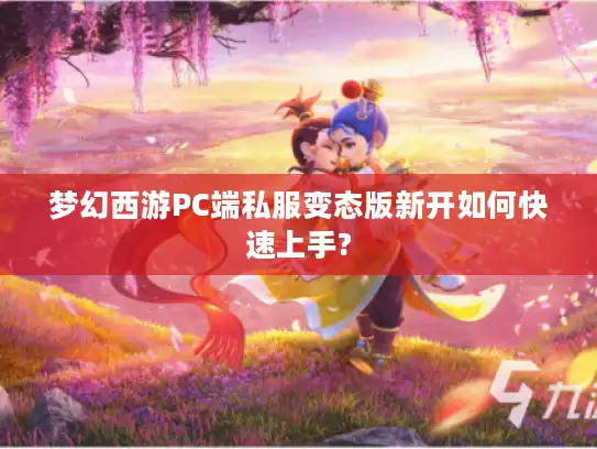 梦幻西游PC端私服变态版新开如何快速上手?