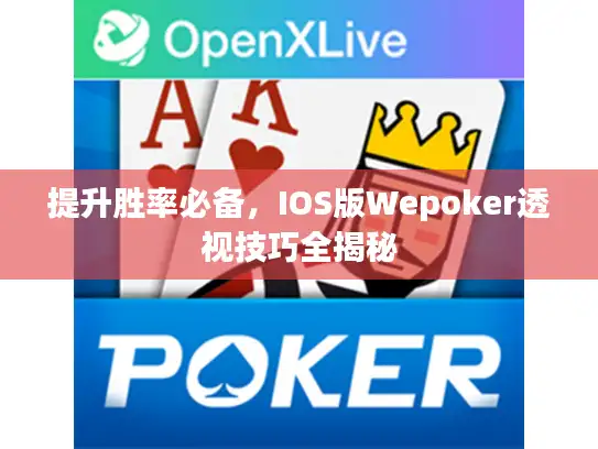 提升胜率必备,IOS版Wepoker透视技巧全揭秘 提升胜率必备,IOS版Wepoker透视技巧全揭秘