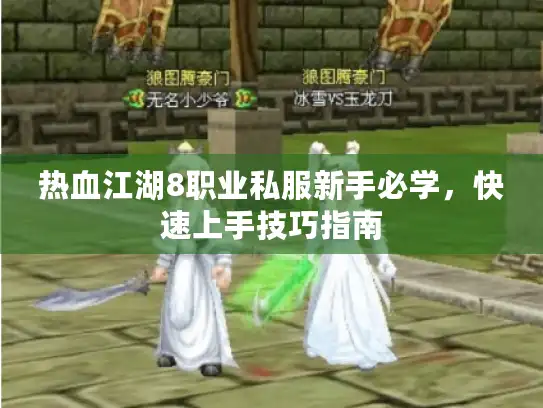热血江湖8职业私服新手必学，快速上手技巧指南