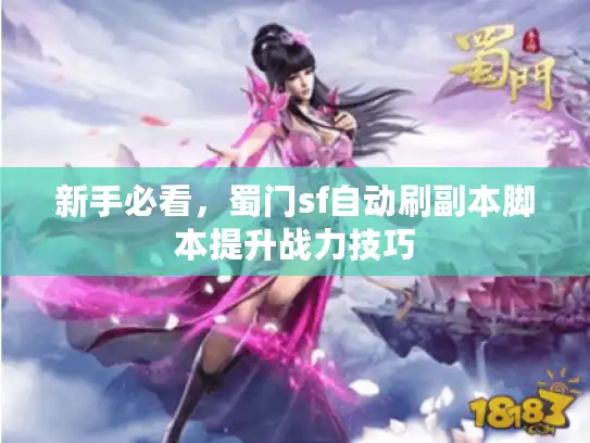 新手必看，蜀门sf自动刷副本脚本提升战力技巧