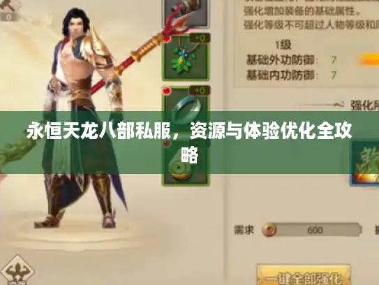 永恒天龙八部私服，资源与体验优化全攻略