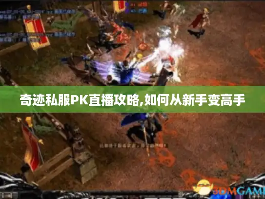 奇迹私服PK直播攻略,如何从新手变高手
