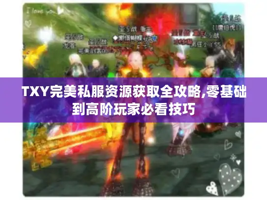 TXY完美私服资源获取全攻略,零基础到高阶玩家必看技巧