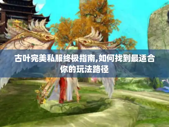 古叶完美私服终极指南,如何找到最适合你的玩法路径