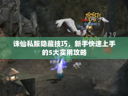 诛仙私服隐藏技巧，新手快速上手的5大实用攻略