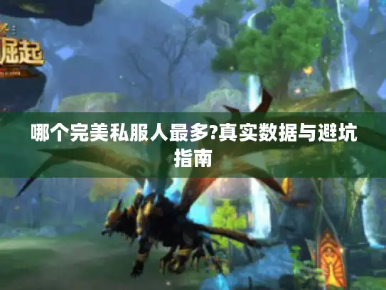 哪个完美私服人最多?真实数据与避坑指南