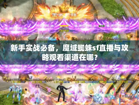 新手实战必备，魔域蜘蛛sf直播与攻略观看渠道在哪？