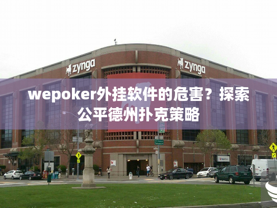 wepoker外挂软件的危害?探索公平德州扑克策略 wepoker外挂软件的危害?探索公平德州扑克策略