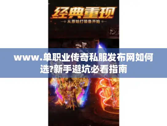 www.单职业传奇私服发布网如何选?新手避坑必看指南