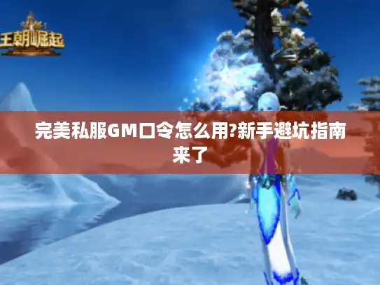 完美私服GM口令怎么用?新手避坑指南来了