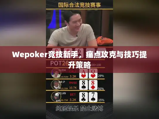 Wepoker竞技新手，痛点攻克与技巧提升策略