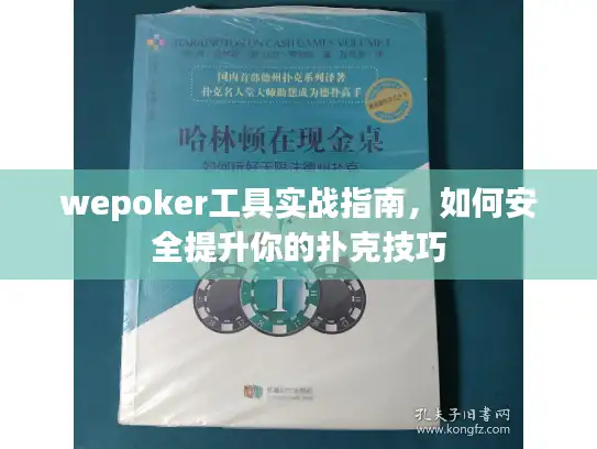 wepoker工具实战指南，如何安全提升你的扑克技巧