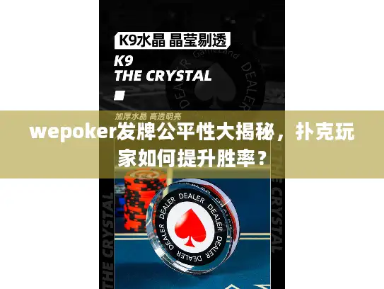 wepoker发牌公平性大揭秘，扑克玩家如何提升胜率？