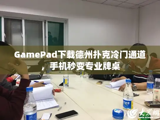GamePad下载德州扑克冷门通道，手机秒变专业牌桌
