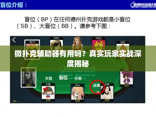 微扑克辅助器有用吗?真实玩家实战深度揭秘 微扑克辅助器有用吗?真实玩家实战深度揭秘