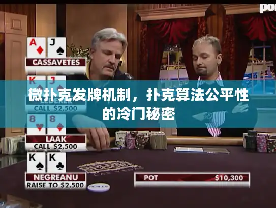微扑克发牌机制，扑克算法公平性的冷门秘密