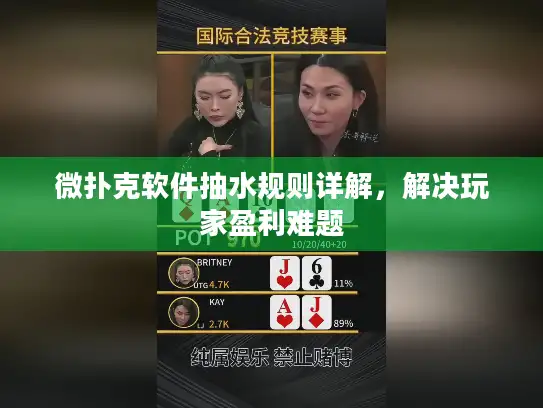 微扑克软件抽水规则详解,解决玩家盈利难题 微扑克软件抽水规则详解,解决玩家盈利难题