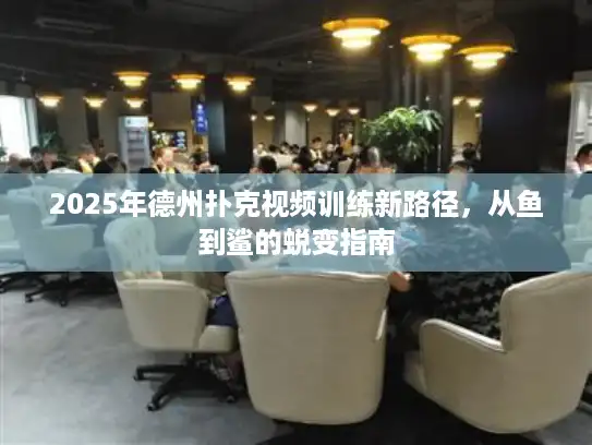 2025年德州扑克视频训练新路径，从鱼到鲨的蜕变指南