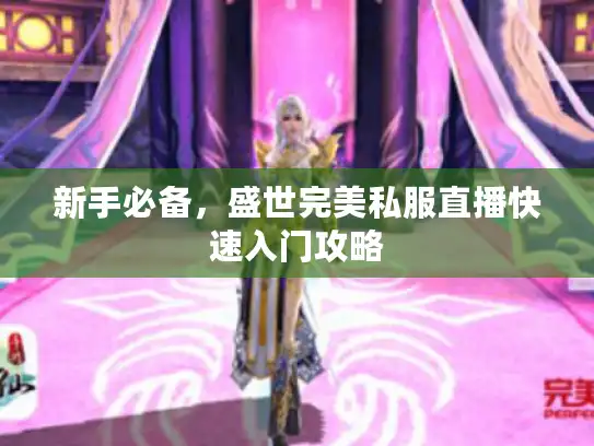 新手必备,盛世完美私服直播快速入门攻略 新手必备,盛世完美私服直播快速入门攻略