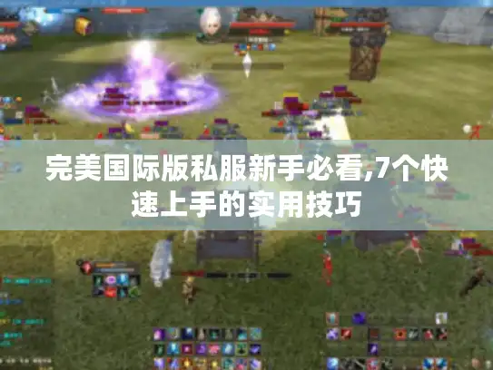 完美国际版私服新手必看,7个快速上手的实用技巧